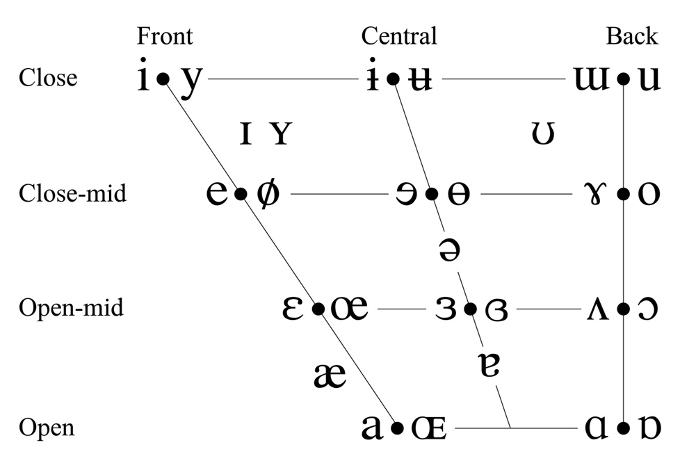 Articulatory Phonetics Chart